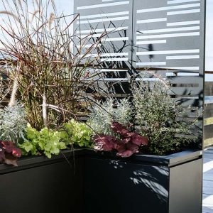 Dekorativna zunanja pregrada Bora in korito za rože Tera Obsidian