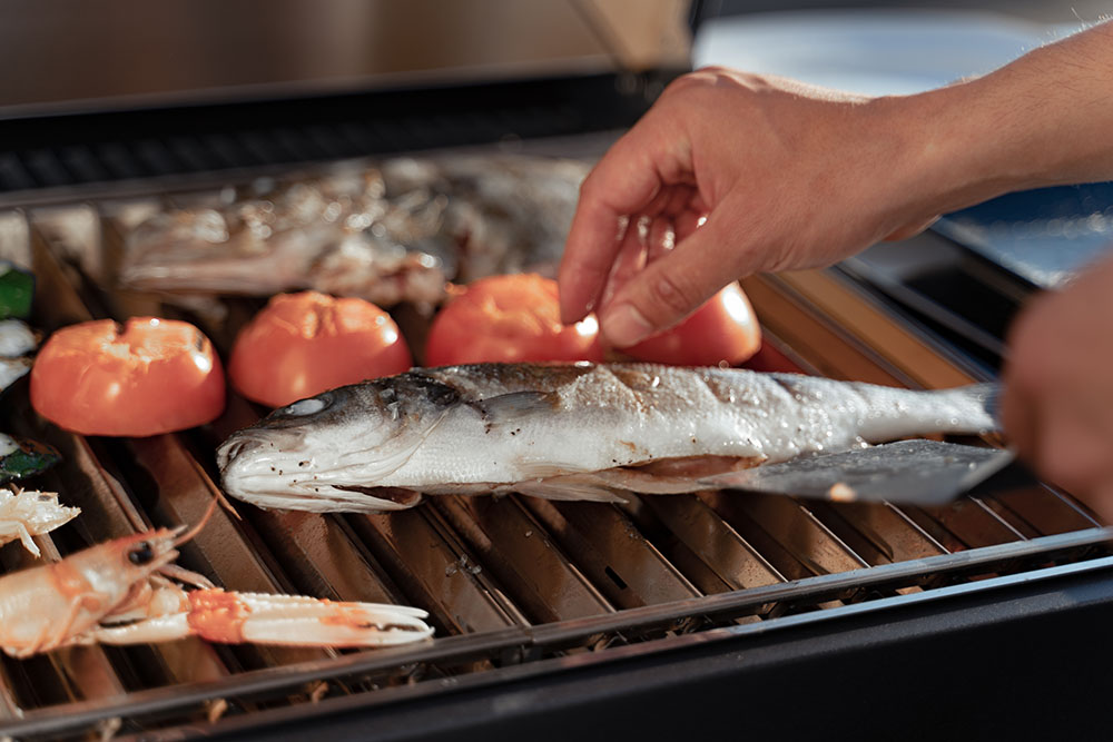 Plinski žar na kolesih FGA 500 FO