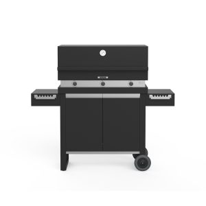 plinski žar na vozičku