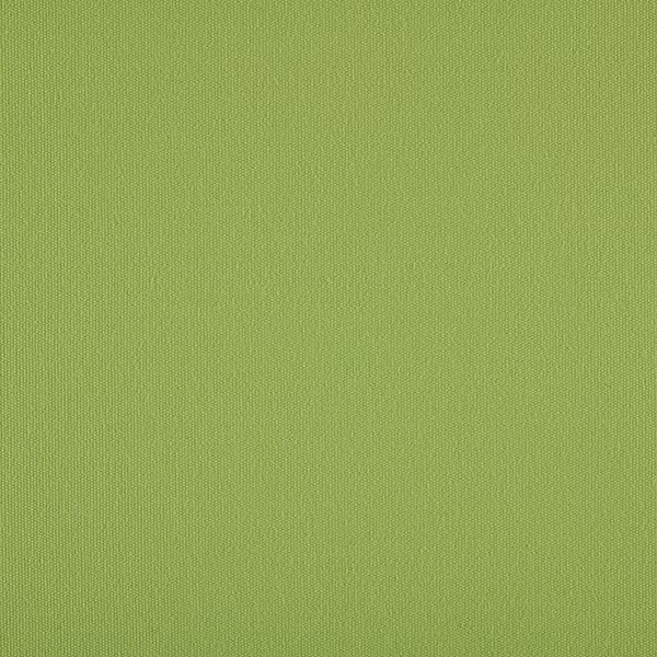 Tkanina Verde Claro